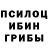 Псилоцибиновые грибы прущие грибы Marie Karole