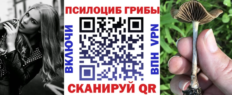 Галлюциногенные грибы MAGIC MUSHROOMS  darknet клад  Серафимович  наркошоп 